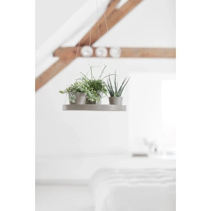 Ecopots Untersetzer Hängend Braungrau 36 Cm X 3 Cm 2 Ecopots Untersetzer Hängend Braungrau 36 Cm X 3 Cm – Bild 2