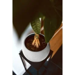 Capi Pflanztopf Groove Kugel Elfenbein 30 Cm X 25 Cm -Gartengeschäft 113957 4091 03