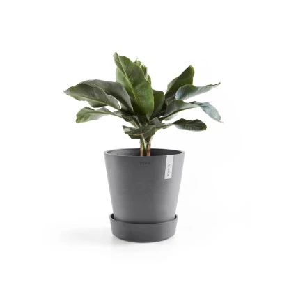 Ecopots Untersetzer Amsterdam Rollen Grau 28,7 Cm X 8,3 Cm 2 Ecopots Untersetzer Amsterdam Rollen Grau 28,7 Cm X 8,3 Cm – Bild 2