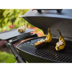Weber Gasgrill Q 2200 Mit 1 Brenner Und Standgestell Schwarz -Gartengeschäft 2567618 A03
