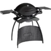 Weber Gasgrill Q 2200 Mit 1 Brenner Und Standgestell Schwarz