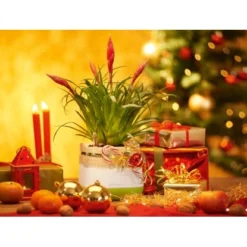 Lechuza Pflanzgefäß Yula 17 Cm X 17 Cm X 15 Cm Weiß-Grün -Gartengeschäft 262803 4186 5