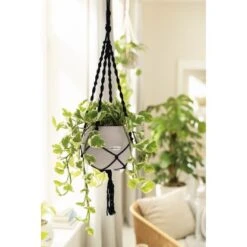 Lechuza Hängeampel Makramee Schwarz 85 Cm 7 Lechuza Hängeampel Makramee Schwarz 85 Cm -Gartengeschäft 4008789138781 4186 04