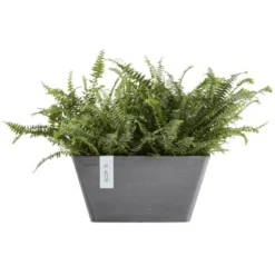 Ecopots Pflanzschale Berlin Grau 41 Cm -Gartengeschäft 5413724300731 11012100 03