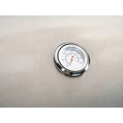 OBI Gasgrill Thunder Bay 2-Brenner Mit Seitenkocher 2 OBI Gasgrill Thunder Bay 2-Brenner Mit Seitenkocher – Bild 2