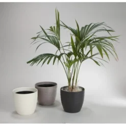 Scheurich Übertopf 923 Ø 28 Cm Taupe Mit Teku Innencontainer -Gartengeschäft 5810411 2266 2