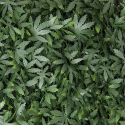 Tenax Künstliche Hecke Divy 3D X-Tens Acer Palmatum 1 M X 2 M Grün -Gartengeschäft 8002929125996 11018400 3