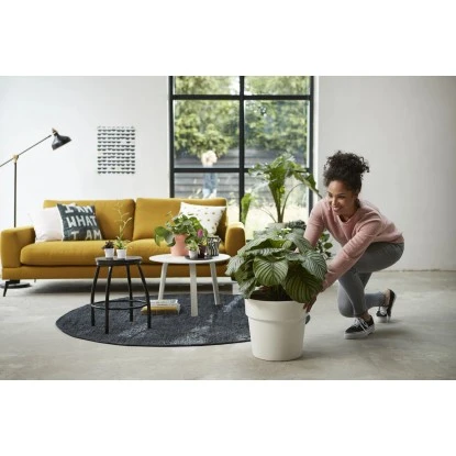 Elho Blumentopf B.for Original Mit Rollen Ø 35 Cm Weiß 3 Elho Blumentopf B.for Original Mit Rollen Ø 35 Cm Weiß – Bild 3