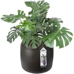 Elho Übertopf Pure Beads Small Ø 39,2 Cm Walnussbraun -Gartengeschäft 8711904350147 4667 06