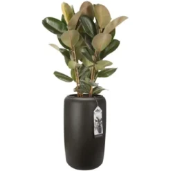 Elho Übertopf Pure Beads Large Ø 39,2 Cm Walnussbraun -Gartengeschäft 8711904350260 4667 06