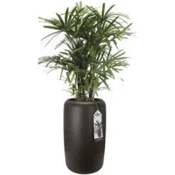 Elho Übertopf Pure Beads Large Ø 39,2 Cm Walnussbraun -Gartengeschäft 8711904350260 4667 07