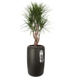 Elho Übertopf Pure Beads Large Ø 39,2 Cm Walnussbraun -Gartengeschäft 8711904350260 4667 08