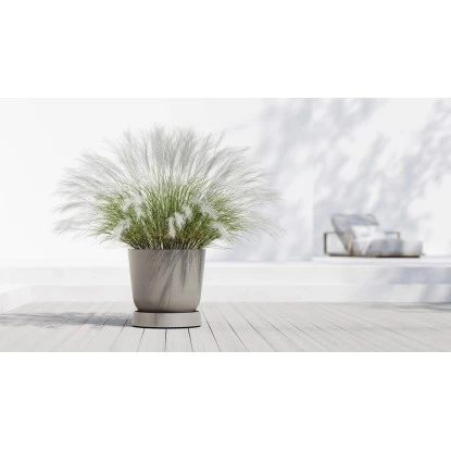 Ecopots Untersetzer Oslo Rollen Braungrau 50 Cm X 10,5 Cm 2 Ecopots Untersetzer Oslo Rollen Braungrau 50 Cm X 10,5 Cm – Bild 2