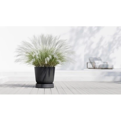 Ecopots Untersetzer Oslo Rollen Dunkelgrau 50 Cm X 10,5 Cm 2 Ecopots Untersetzer Oslo Rollen Dunkelgrau 50 Cm X 10,5 Cm – Bild 2