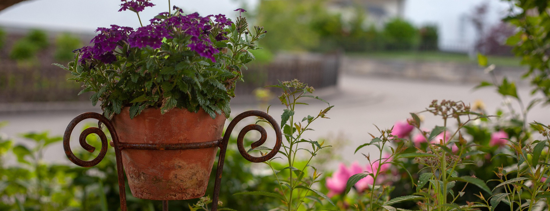 Titelseite 4 Titelseite -Gartengeschäft garden 3480799 1920